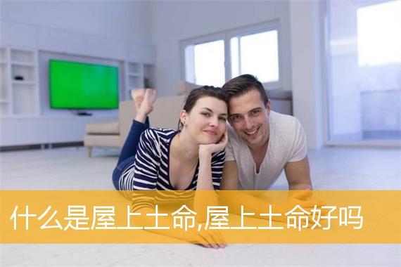 2006属狗的是什么命 屋上土命