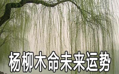 杨柳木命的男人一生命运运势好不好