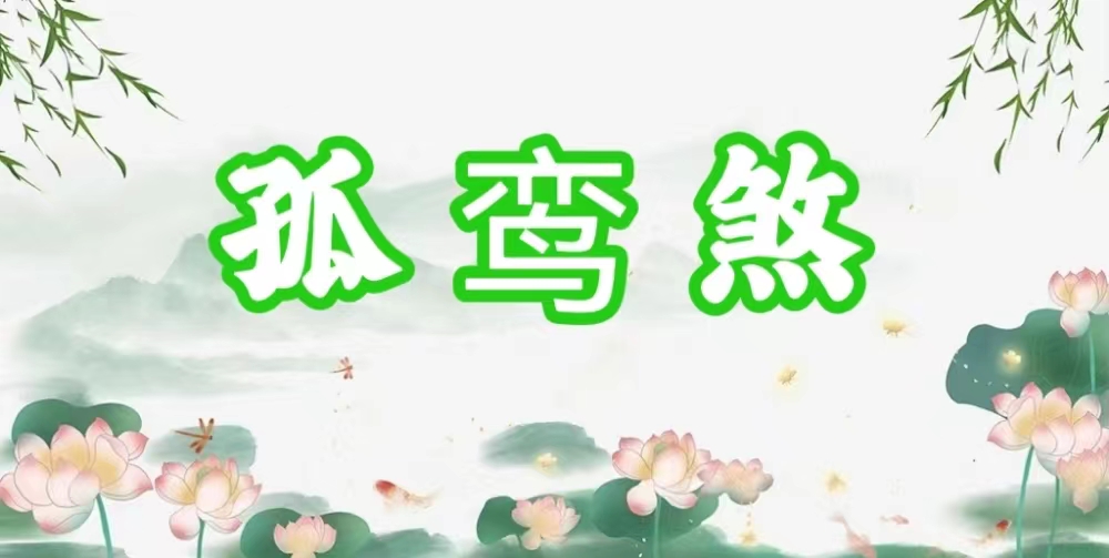 八字神煞之-孤鸾煞,孤鸾煞的含义