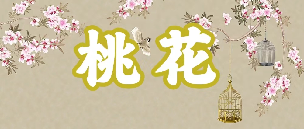 八字神煞之-桃花,桃花的含义