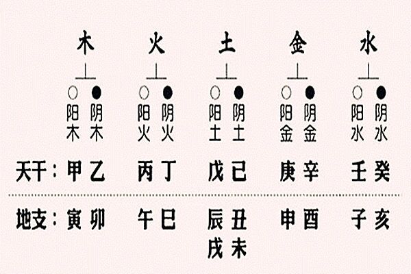 八字天干地支代表什么意思和含义