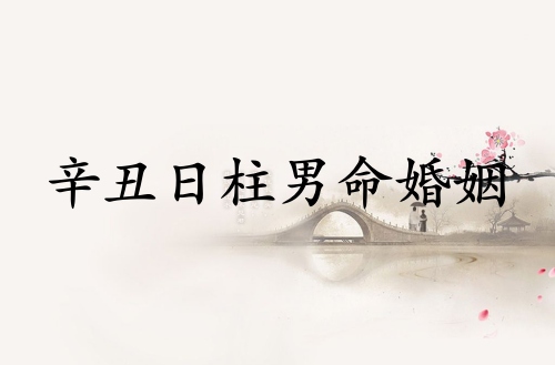 辛丑日柱男命婚姻详解