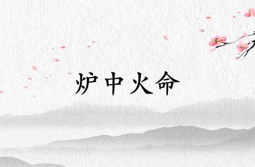 炉中火命佩戴木饰品好不好