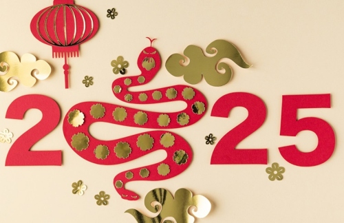 2025蛇年五行属什么命