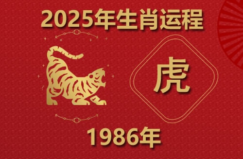 2025年属虎人的全年运势1986出生