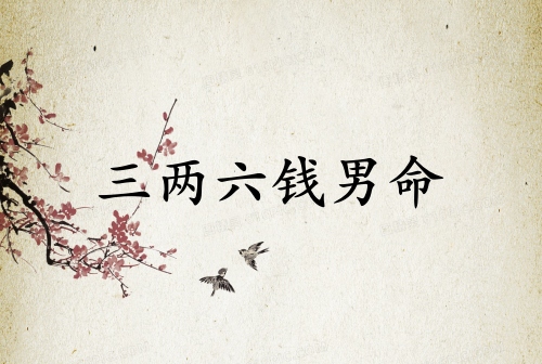三两六钱男命最正确的解释
