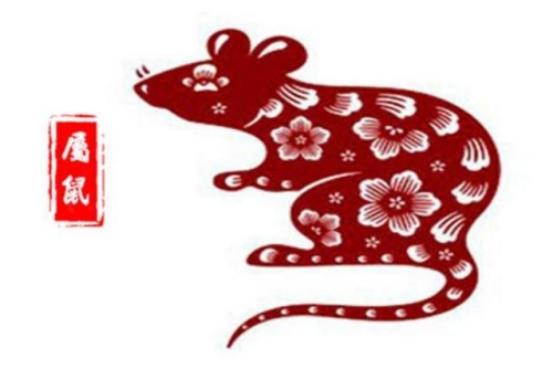 属鼠的出生年份表