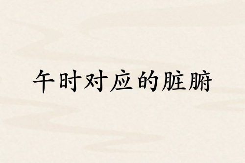 午时和哪个脏腑对应
