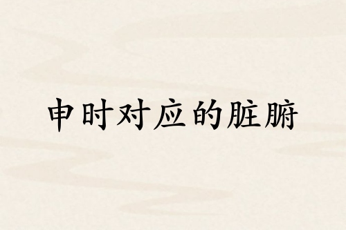 申时对应哪个脏腑