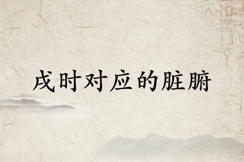 戌时对应什么脏腑