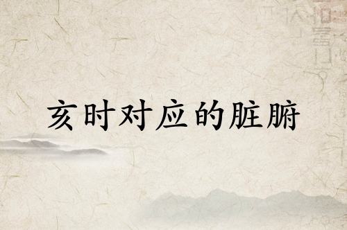 亥时是什么经络当令