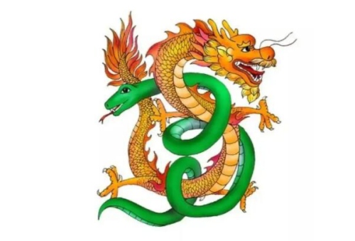 属龙和属蛇的相配吗