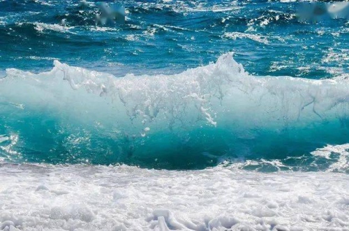 大海水命人适合什么行业最旺财