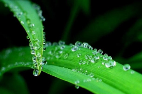 癸水命最忌三种首饰