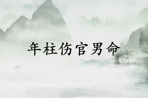 年柱伤官男命代表什么