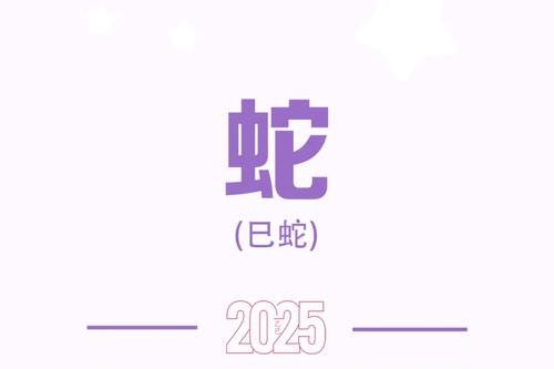 2025属蛇最旺女孩名字