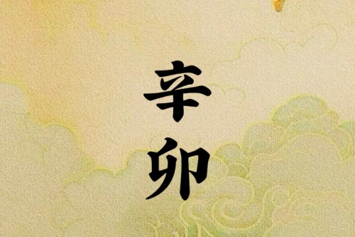 辛卯日柱是上等日柱吗