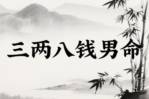 三两八钱男命详细解释一生