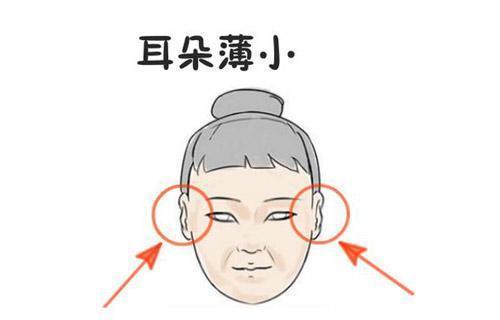 女人耳朵小的人命运怎么样